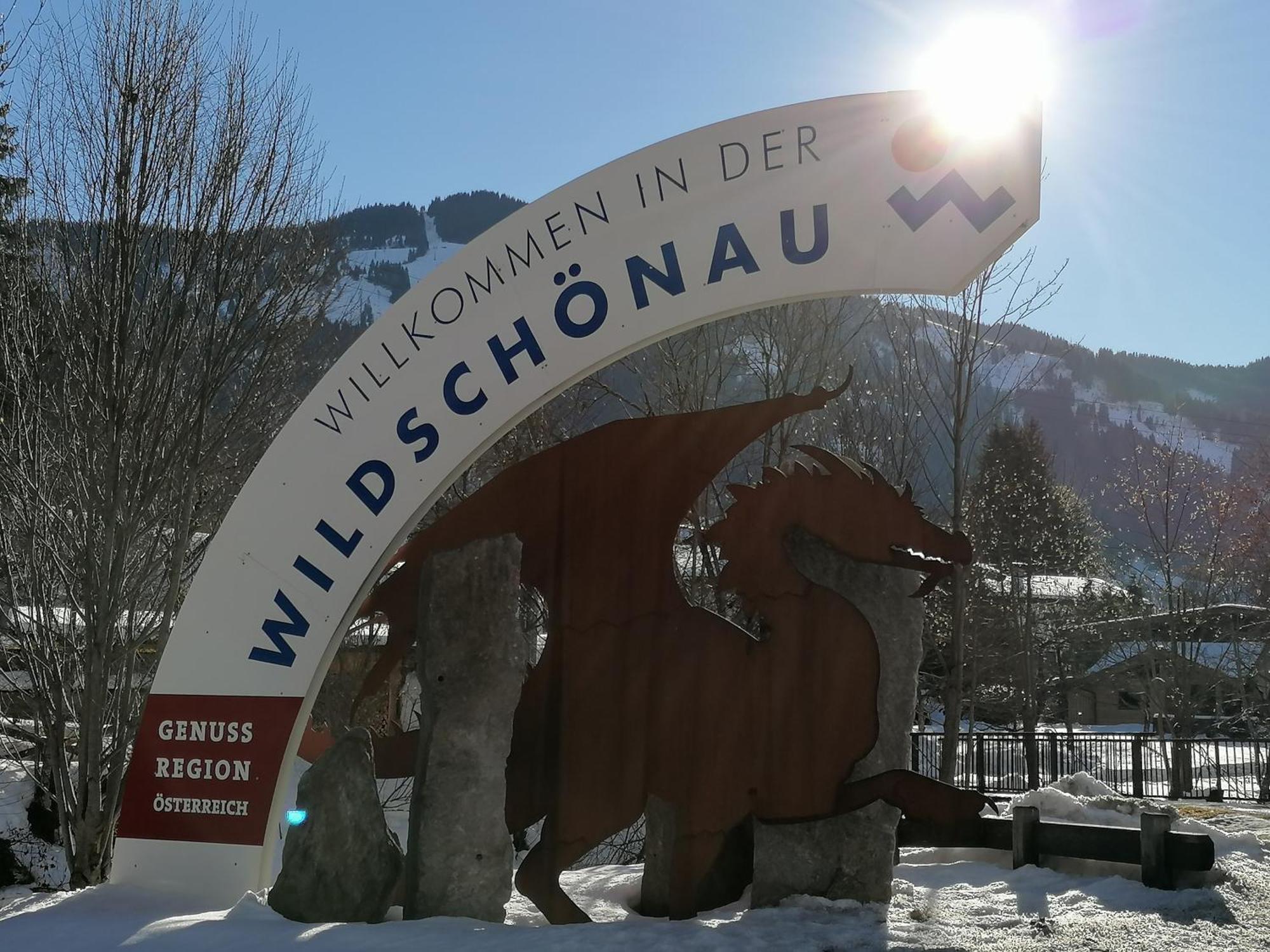 Loya Chalet Wild32 Оберау Экстерьер фото